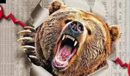 黄金熊,探寻财富与智慧的璀璨之光