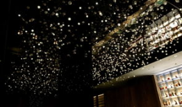 艾迪逊,探索创新与变革的科技先锋